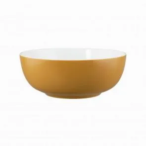 Салатник Seltmann Weiden Life Amber Gold 65015 20 СМ 001.757422 – купить в Нижнем Новгороде по цене завода