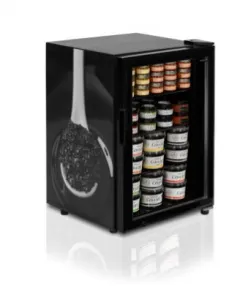 Шкаф морозильный Tefcold Ur90G-Sub Zero на 920л барный для икры – купить по цене завода