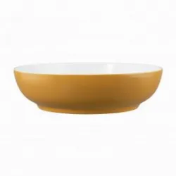 Салатник Seltmann Weiden Life Amber Gold 65015 25 СМ 001.757423 – купить в Нижнем Новгороде с доставкой Купить салатник seltmann weiden life amber gold 65015 25 см 001.757423 в Нижнем Новгороде – цена завода, доставка до двери | RuOborudovanie.ru