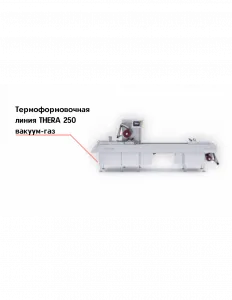 Термоформовочная линия THERA 250 вакуум-газ – купить по цене завода