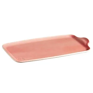 Блюдо сервировочное 31Х16СМ H1,5См, с ручкой, керамика, серия Platters, цвет Rose 500484 – купить в Нижнем Новгороде по цене завода