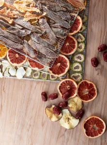 Дегидратор Kocateq DHFD16 для овощей с 16 уровнями 39,6х39,6см (сушилка) – купить в Нижнем Новгороде по цене завода