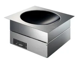 Купить плита индукционная wok встраиваемая drop-in с 1 конфоркой 30 см scholl sh/wo/in5000 в Нижнем Новгороде – цена завода, доставка до двери | RuOborudovanie.ru