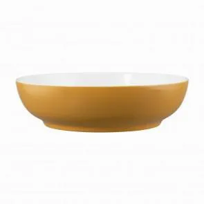 Салатник Seltmann Weiden Life Amber Gold 65015 25 СМ 001.757423 – купить в Нижнем Новгороде по цене завода