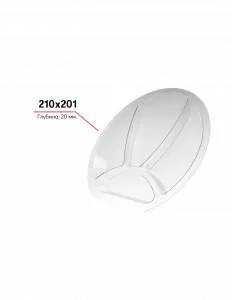 Лоток 210*201 (Орехи, сухофрукты, сырная тарелка) – купить в Нижнем Новгороде по цене завода