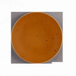 Тарелка плоская Country Life Terracotta 16,5 СМ м5380-16,5 – купить в Нижнем Новгороде по цене завода