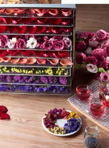 Дегидратор Kocateq DHFD10 для овощей с 10 уровнями 39,6*39,6см (сушилка) – купить в Нижнем Новгороде по цене завода