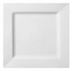 Купить тарелка cameo square rim 23,5х23,5cm h2,3см 710-91 в Нижнем Новгороде – цена завода, доставка до двери | RuOborudovanie.ru