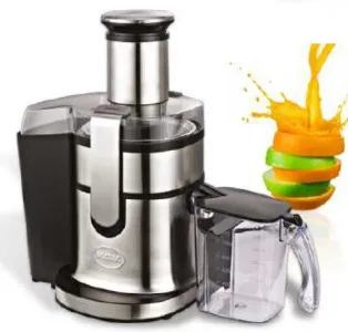 Соковыжималка RGV Industrial Juicer Mc4 арт.218540 – купить в Нижнем Новгороде по цене завода