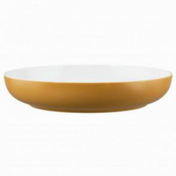Салатник Seltmann Weiden Life Amber Gold 65015 28 СМ 001.757424 – купить в RuOborudovanie.ru с доставкой до двери Купить салатник seltmann weiden life amber gold 65015 28 см 001.757424 – цена от завода, доставка до двери | RuOborudovanie.ru
