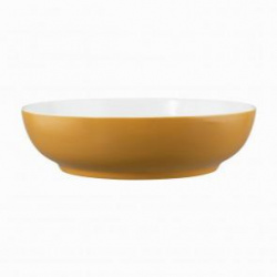 Салатник Seltmann Weiden Life Amber Gold 65015 25 СМ 001.757423 – купить в RuOborudovanie.ru с доставкой до двери Купить салатник seltmann weiden life amber gold 65015 25 см 001.757423 – цена от завода, доставка до двери | RuOborudovanie.ru