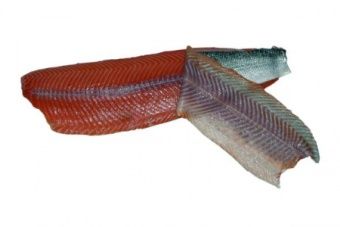 Шкуросъёмная машина для рыбы Nock Cortex CBF 496 SALMON – купить в Нижнем Новгороде по цене завода