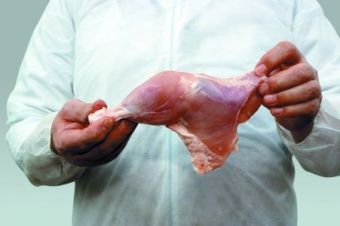 Шкуросъёмная машина Nock Cortex CBP 695 POULTRY – купить в Нижнем Новгороде по цене завода
